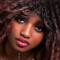 EMMAPARISS webcam model
