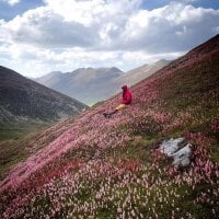 UGELLO-Grosso avatar