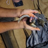 Bilik Sembang Luar Talian Thesmokingcouple