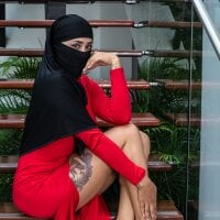 Модель _habib_