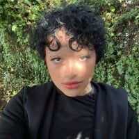 Alaska_deluxe webcam model