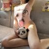 ChengSeJiuMengs' Offline Chat Room