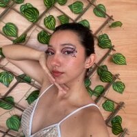 Модель debora_ks