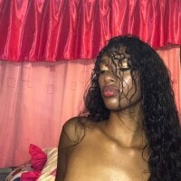 Laflaka-312 webcam