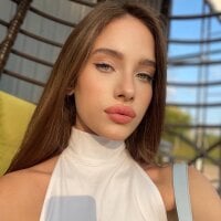 Shenanon 离线聊天室