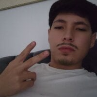 Elplaga webcam
