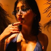 AriaNova_ webcam model