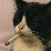 facugunner – avatarbillede