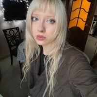BubugAgaskaLive Webcam