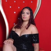 SamaraWay webcam model