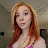 izi-fox webcam model