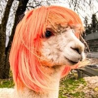 tipsy-Q's Avatar Pic