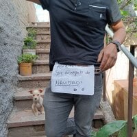 Morrohot13's Avatar Pic