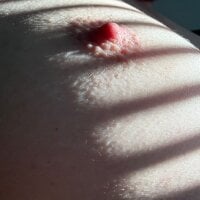 Модель Newmann_The_Chubby_Bear