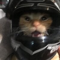 Mod812's Avatar Pic