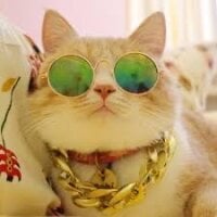 NightYue1's Profile Pic