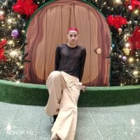 Erick_Zhimerman model avatar