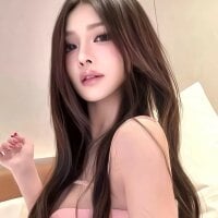 yo-yo-520 webcam model