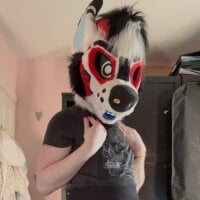 thathairyfurry webcam