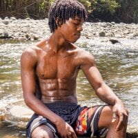 Cam_Brown webcam model
