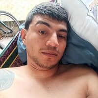 elver123345