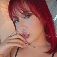 ada_sisns webcam model