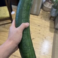 _quero___p1ka- webcam