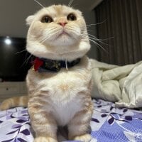 Foto do perfil de eric_TW