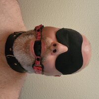 Scorpio4abuse webcam