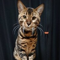 ky0624ky's Avatar Pic