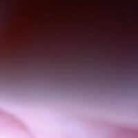 Test-model-PT offline chatrum