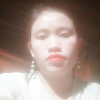 Opnabyta webcam