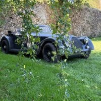 Morgan_Organ Avatarfoto