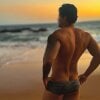 gigantebrazil