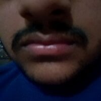 limtguys webcam model