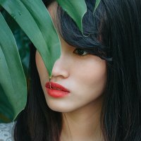 StripchatAcademy offline chatrum