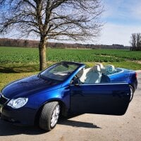 Rosalia478's Avatar Pic