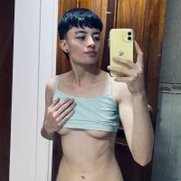 nico_18x webcam model