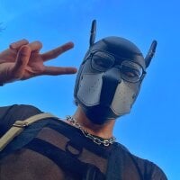 pup_edan webcam