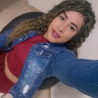 Alaintrans12 webcam