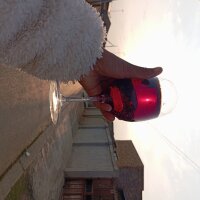 Offline chatovací místnost ExoticSA__