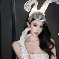 Dirrtry webcam model