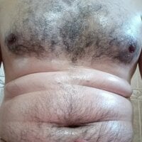 Arabian webcam