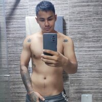 Model Andres_cum08