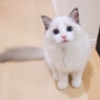 Beanie1122 아바타 사진