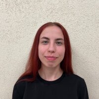 LisaSim Offline Chatraum