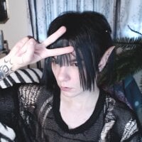 Yakhont webcam model