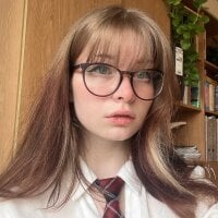 Hokylopet_Razor webcam model