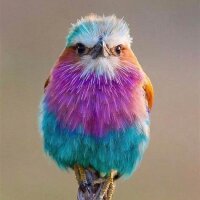 Avatar obrázek Grunn1975