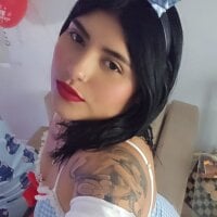 Carendarks webcam model